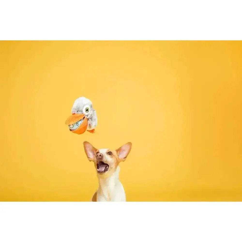 BARK Big Bill & Beak - A - Boo Fish Dog Toy - Talis Us