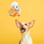 BARK Big Bill & Beak - A - Boo Fish Dog Toy - Talis Us