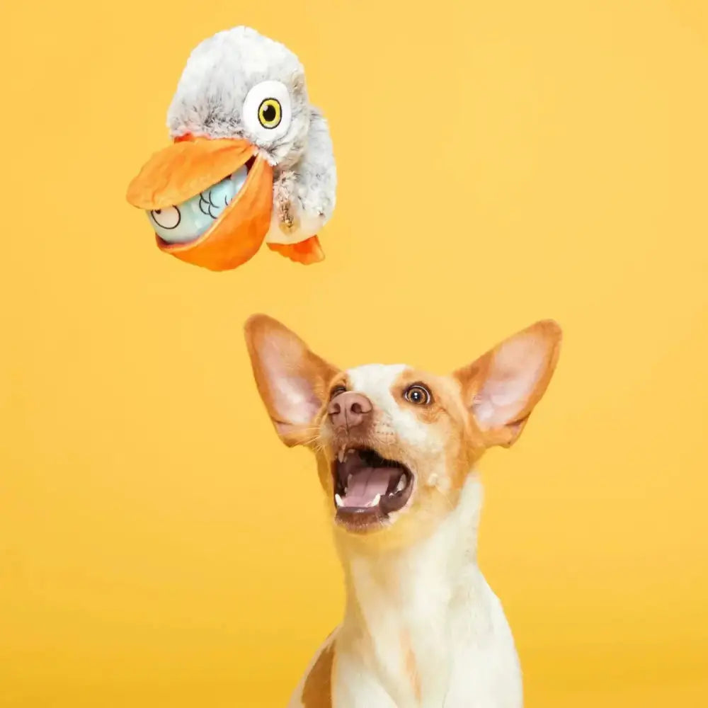 BARK Big Bill & Beak - A - Boo Fish Dog Toy - Talis Us