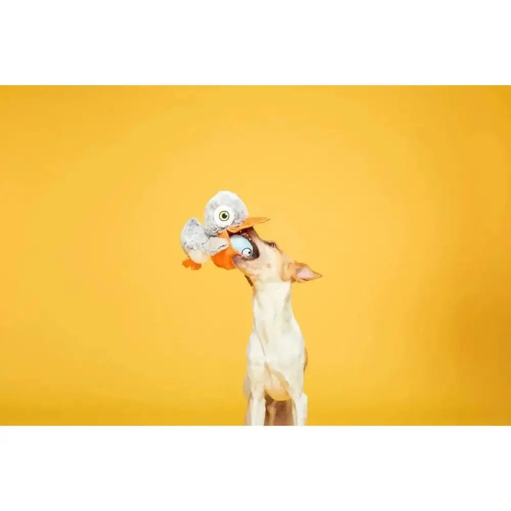 BARK Big Bill & Beak - A - Boo Fish Dog Toy - Talis Us