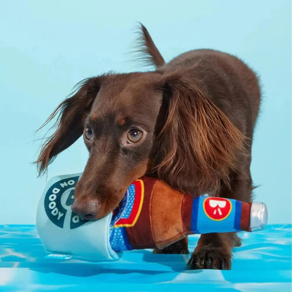 BARK Boozy Doody Koozie Plush Dog Toy - Talis Us