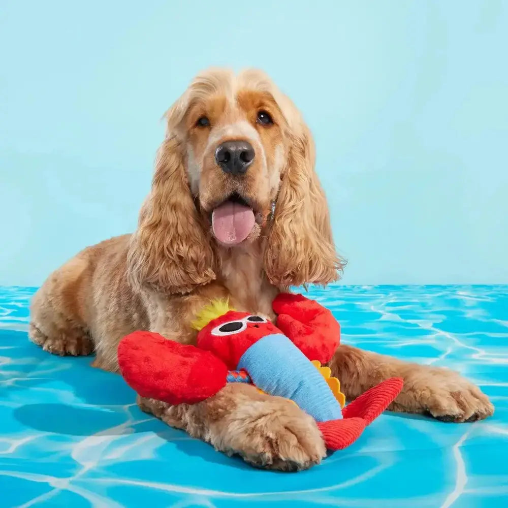 BARK Brock Lobster Plush Dog Toy - Talis Us