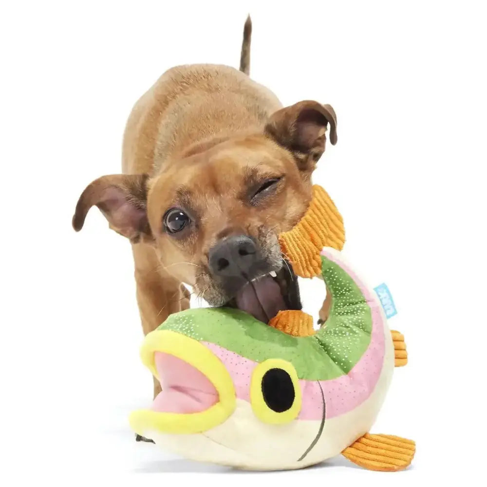 BARK Brooke Trout Plush Dog Toy - Talis Us