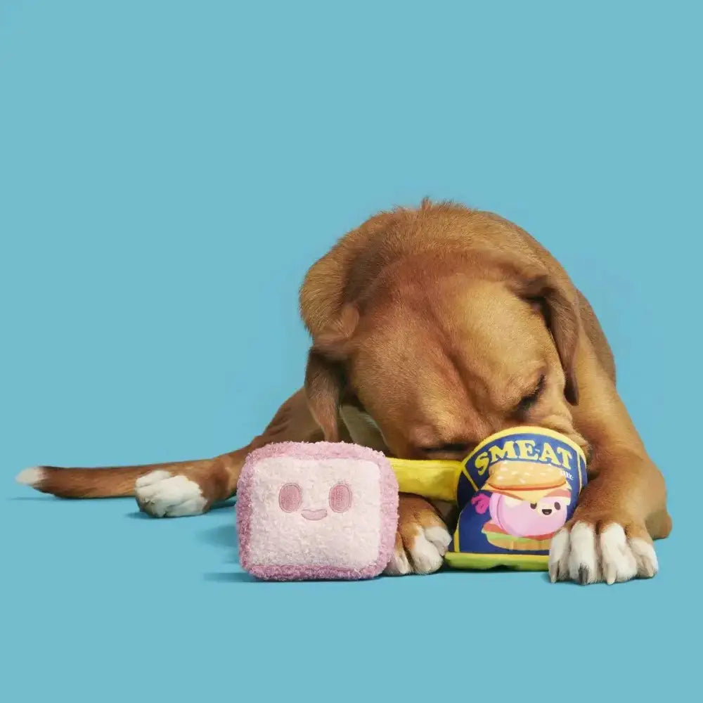 BARK Canned SMEAT Plush Dog Toy - Talis Us