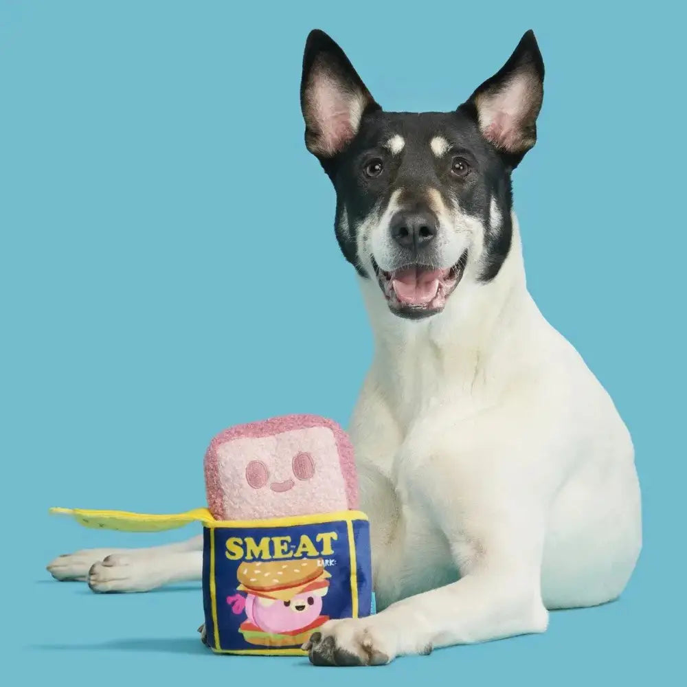 BARK Canned SMEAT Plush Dog Toy - Talis Us