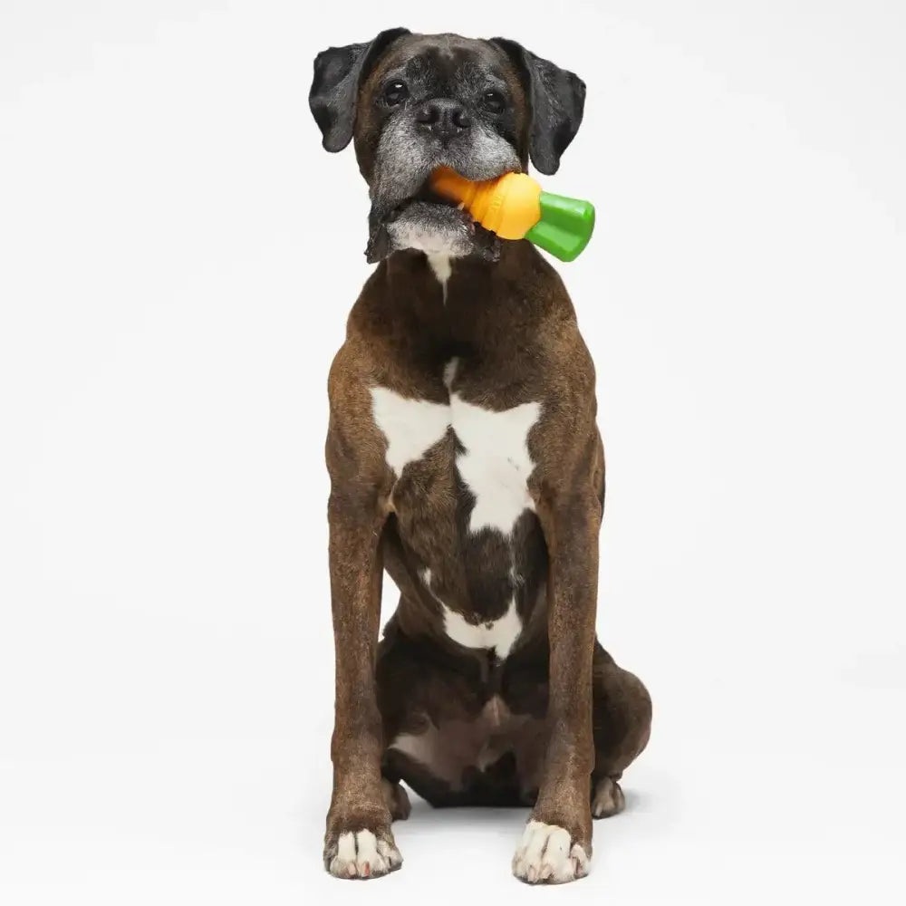 BARK Carrot Stick Dog Toys - Talis Us