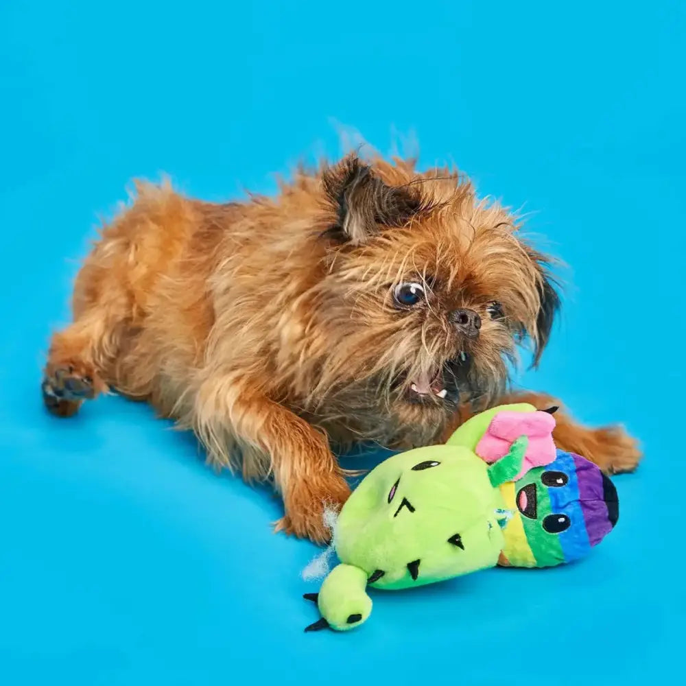 Bark Consuela Comes Out Dog Toy - Talis Us