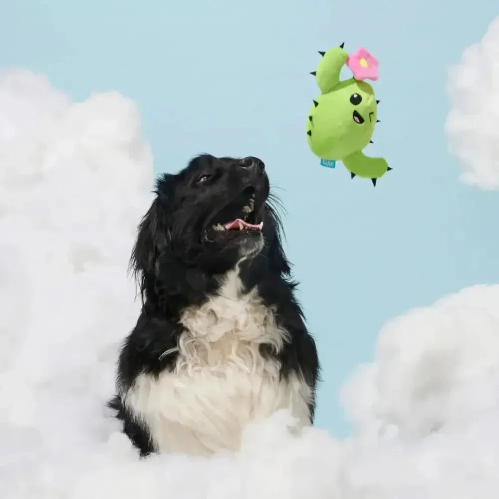 Bark Consuela Comes Out Dog Toy - Talis Us