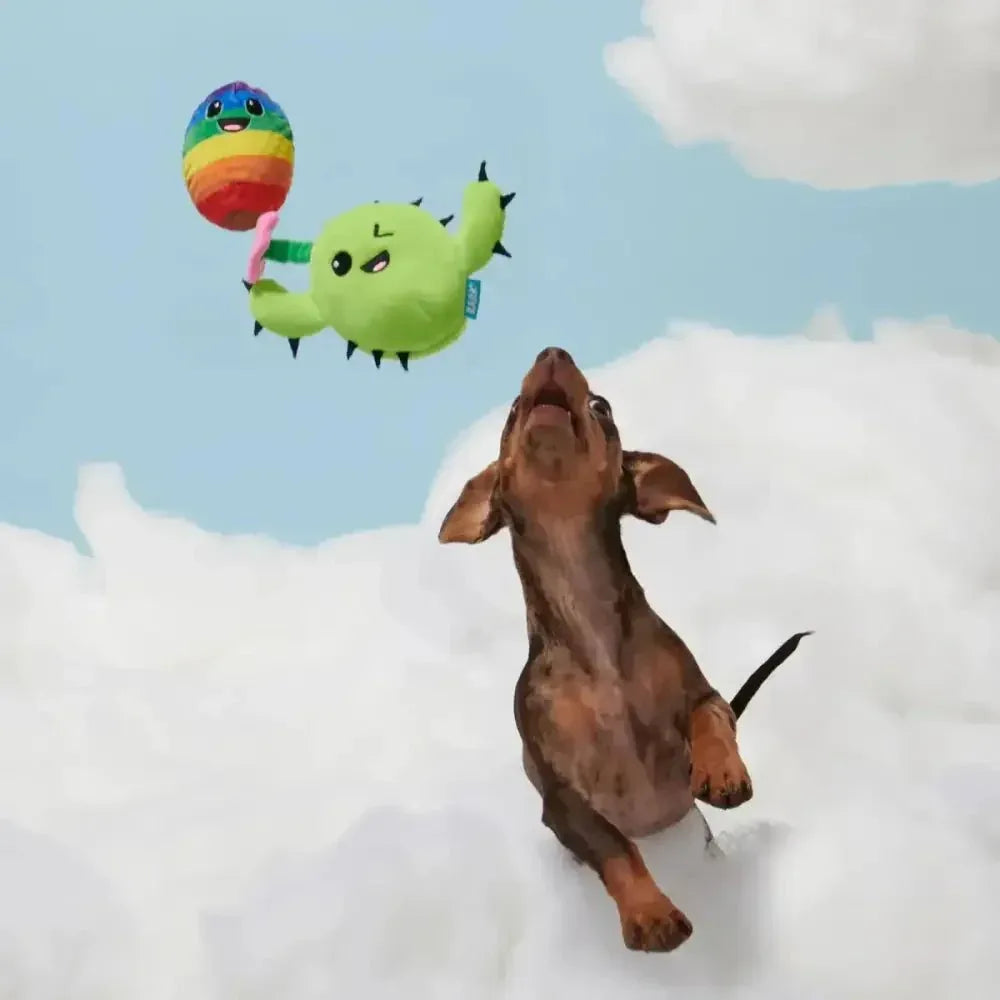 Bark Consuela Comes Out Dog Toy - Talis Us