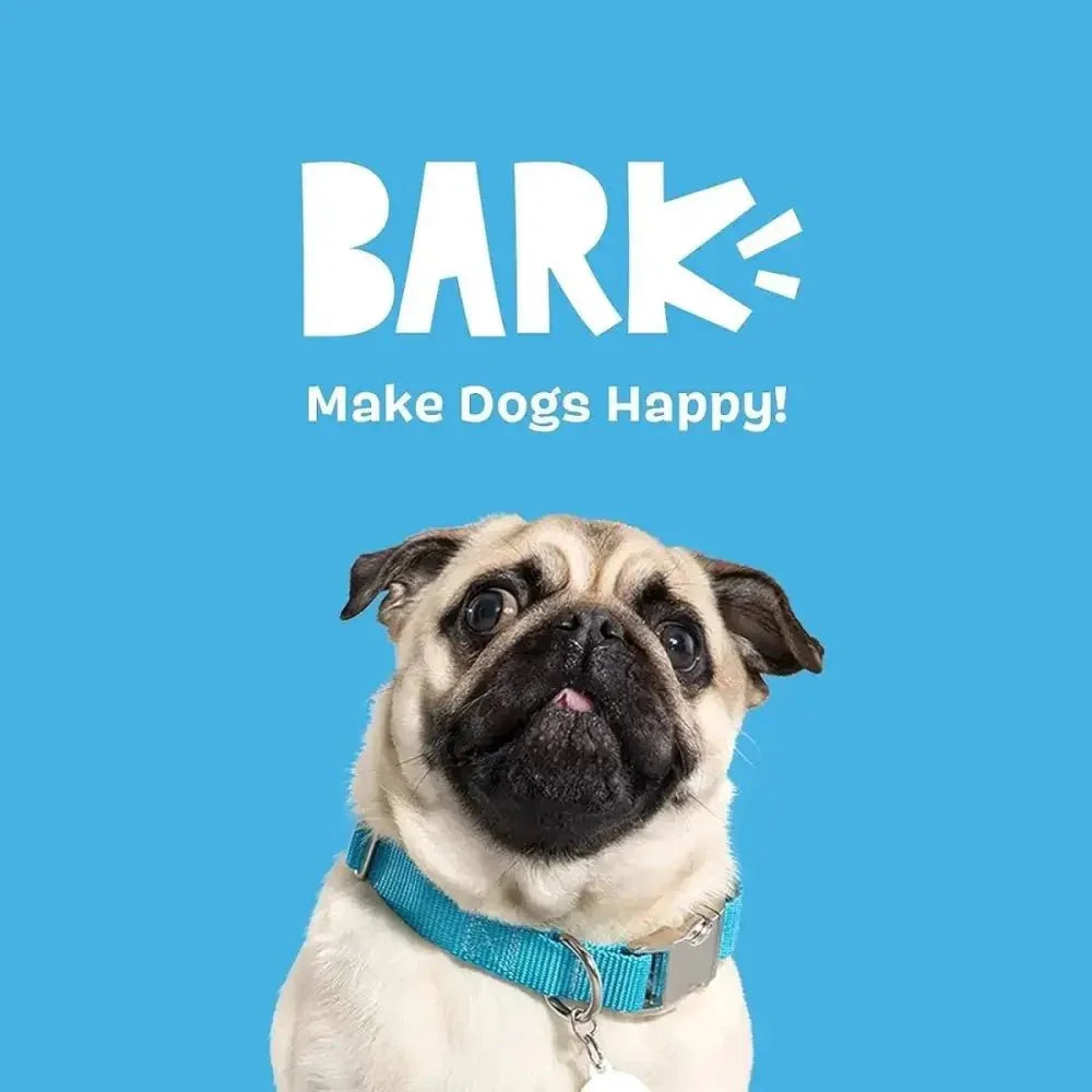 BARK Consuela the Cactus Dog Toy - Talis Us