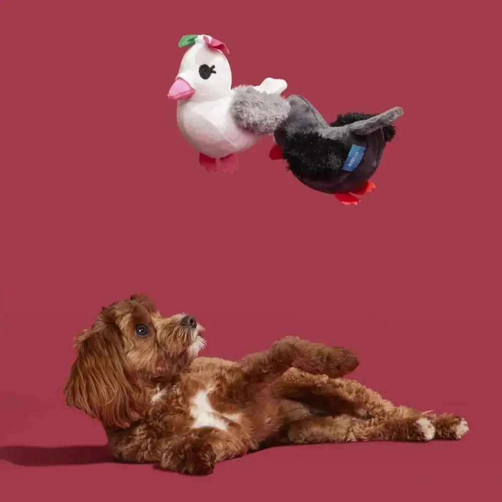 BARK Coo Amore Plush Dog Toy - Talis Us