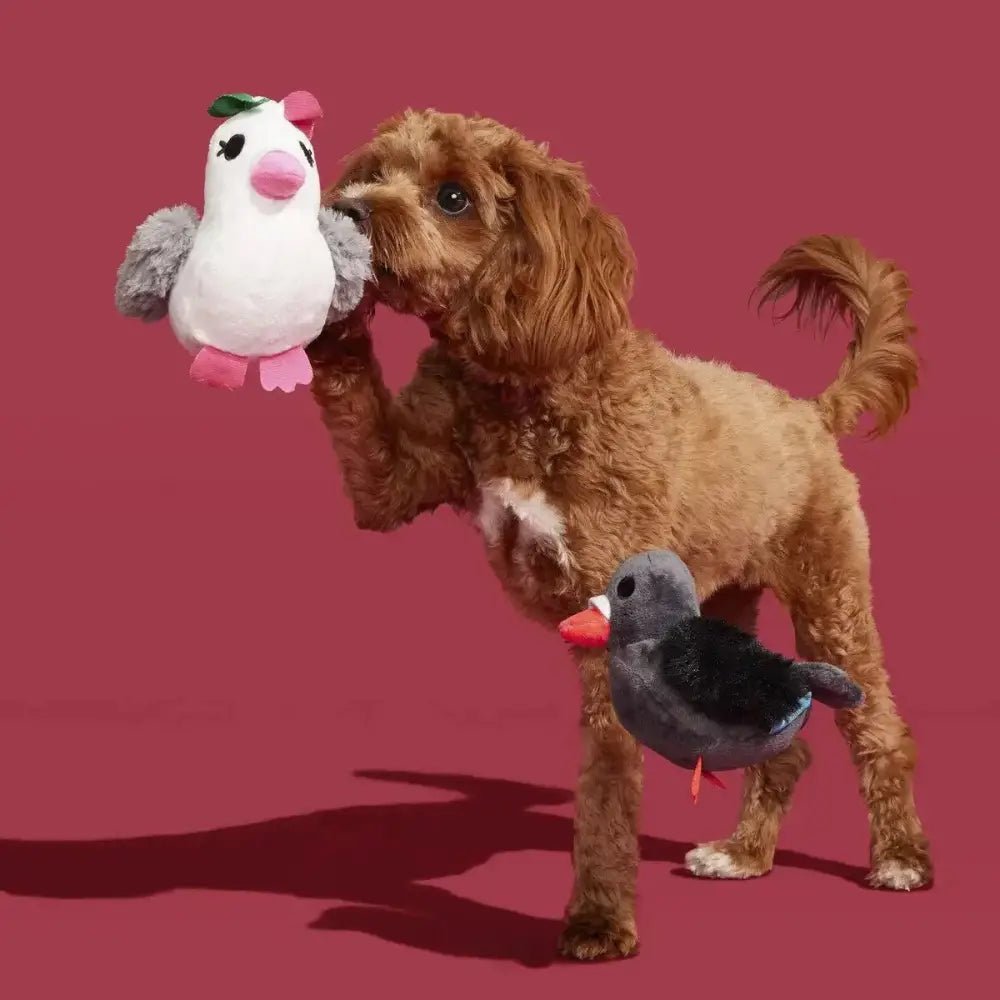 BARK Coo Amore Plush Dog Toy - Talis Us