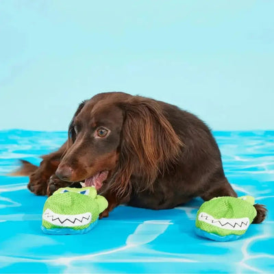 BARK Crocks Plush Dog Toy - Talis Us