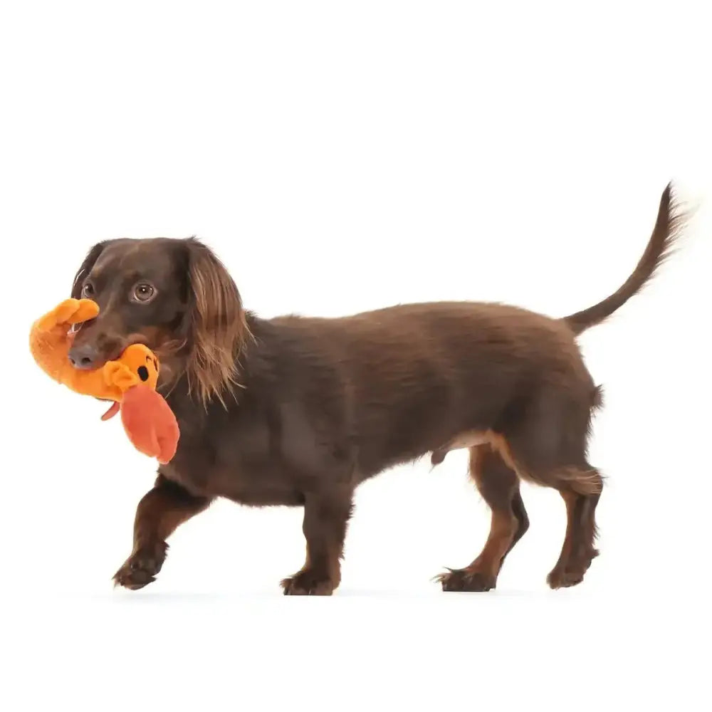 BARK Della Crawfish Plush Dog Toy - Talis Us