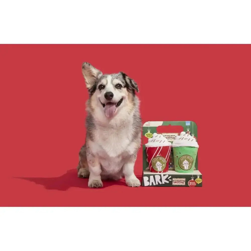 BARK Fa - La - La - Lattes Plush Dog Toy 2pc - Talis Us