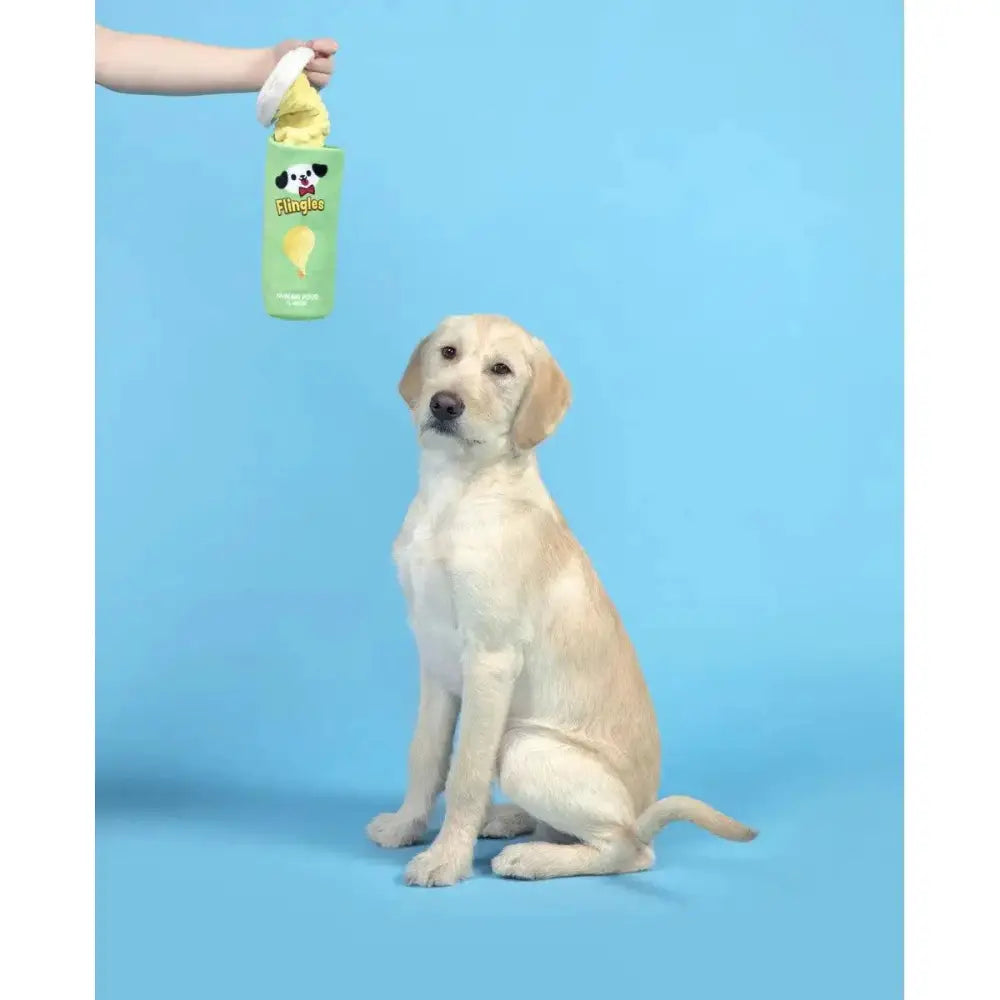 BARK Flingles Can Plush Dog Toy - Talis Us