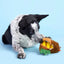BARK Fowl Play Dog Toys - Talis Us