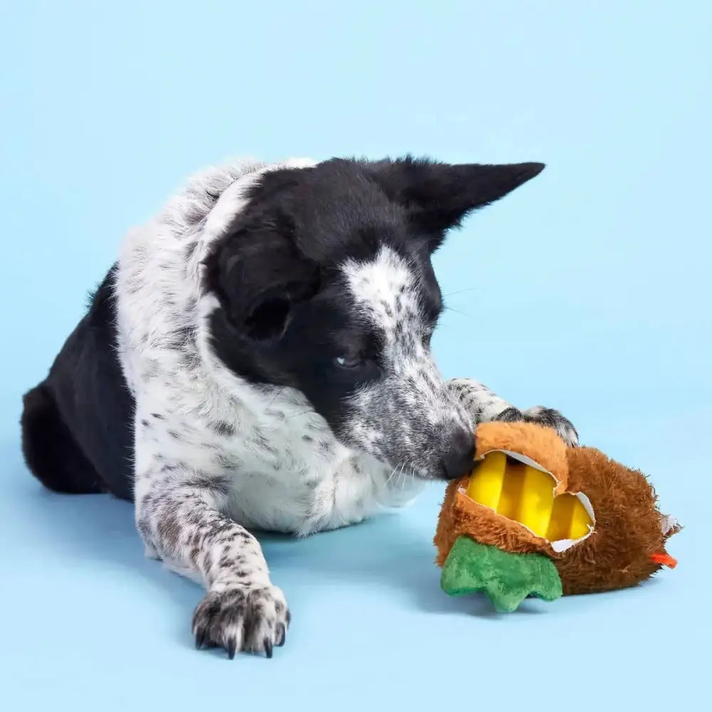 BARK Fowl Play Dog Toys - Talis Us