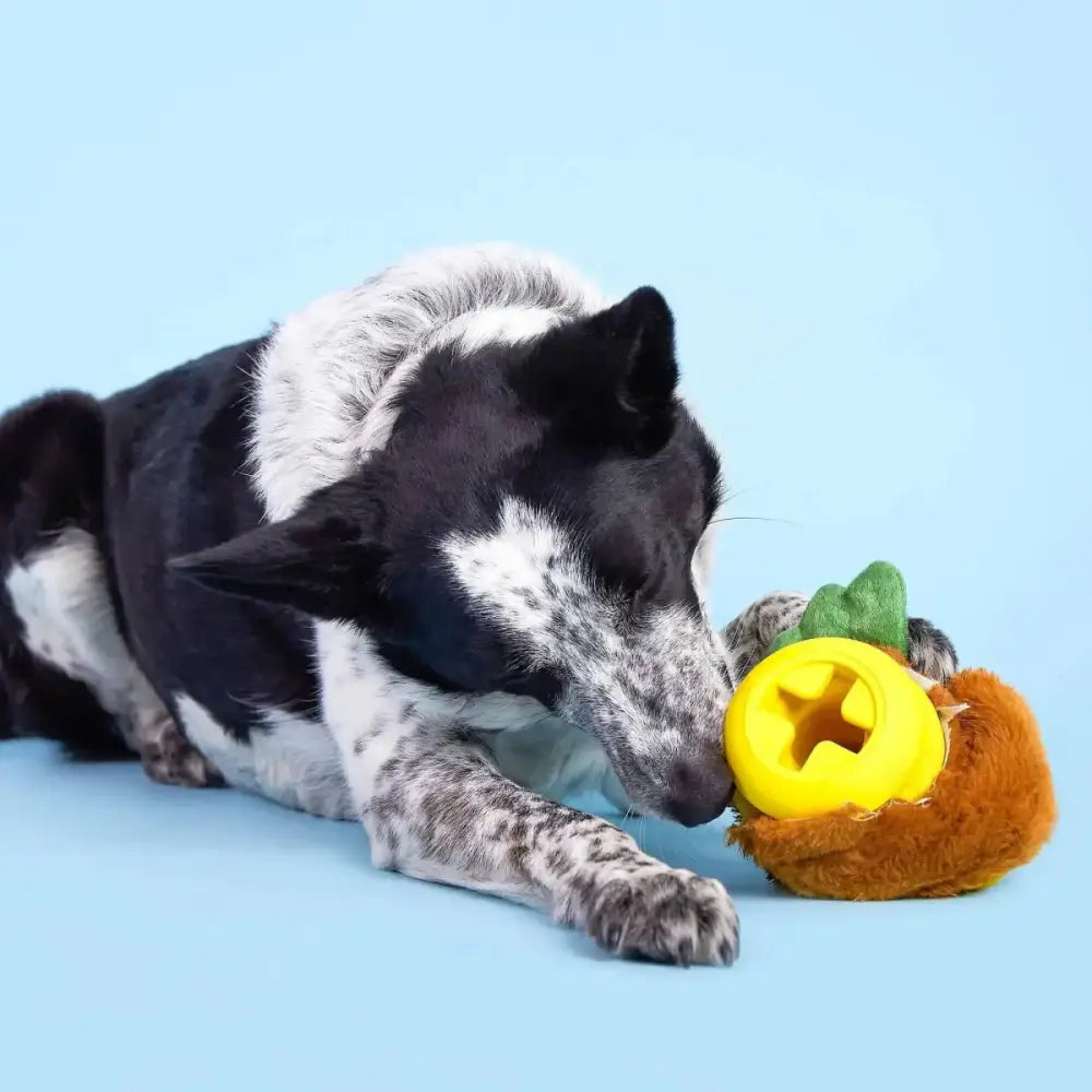 BARK Fowl Play Dog Toys - Talis Us