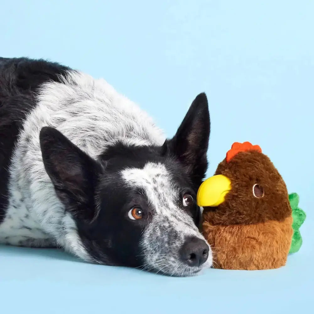 BARK Fowl Play Dog Toys - Talis Us