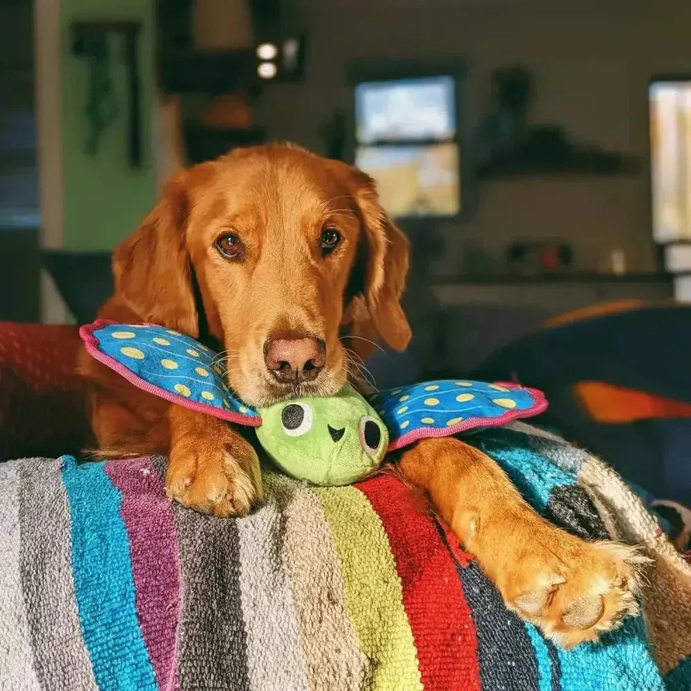 BARK Freddy Flying Fish Squeaky Plush Dog Toy - Talis Us