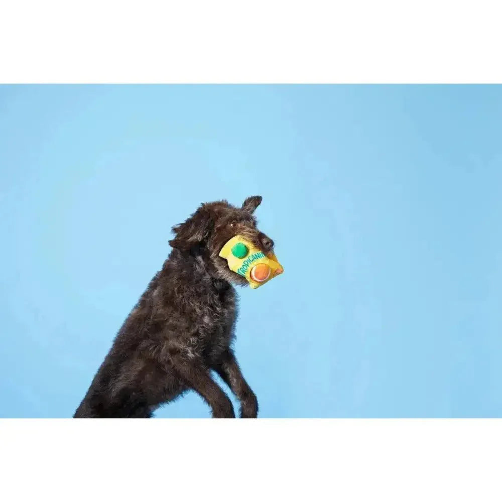 BARK Fresh Squeaked OJ Dog Toys - Talis Us