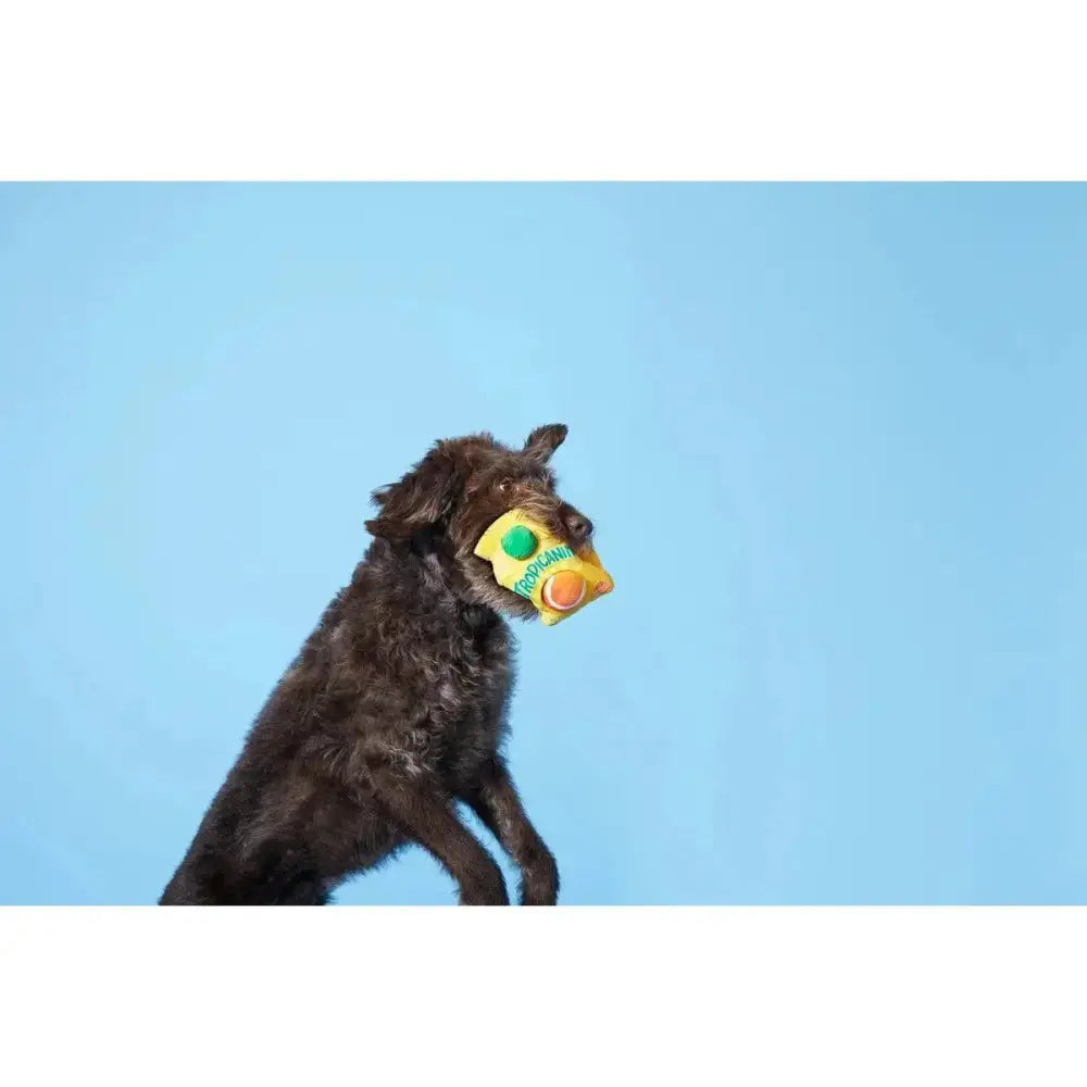 BARK Fresh Squeaked OJ Dog Toys - Talis Us