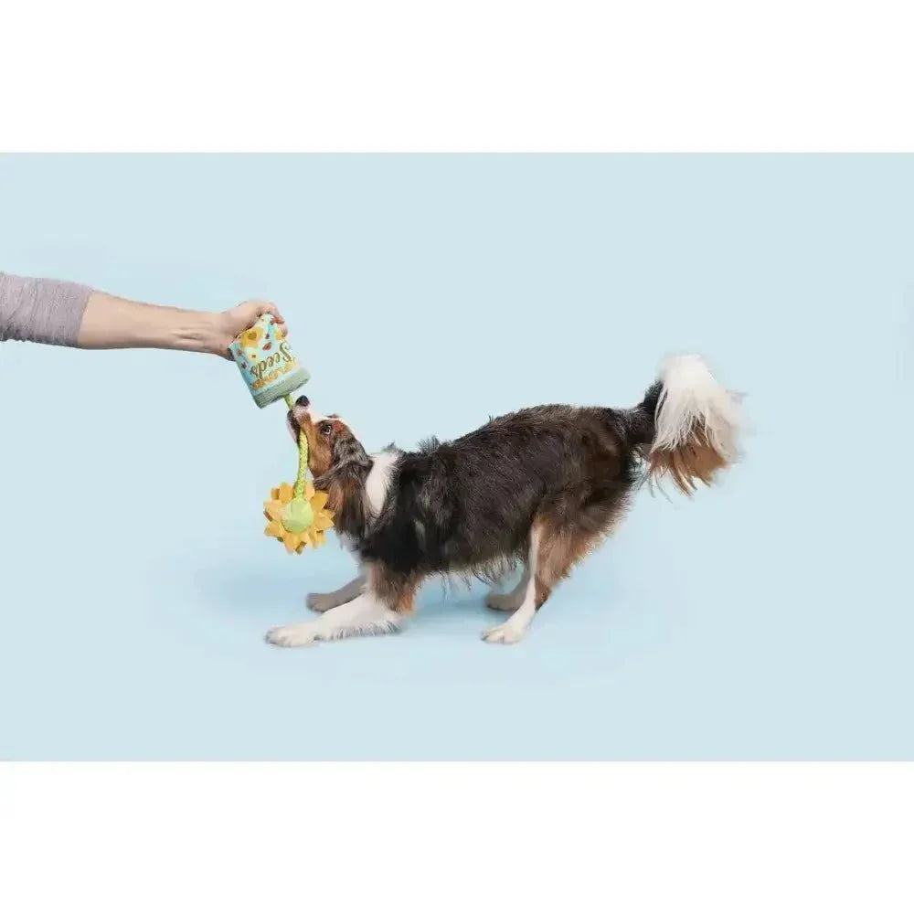 BARK Funflower Seeds Rope Dog Toy - Talis Us