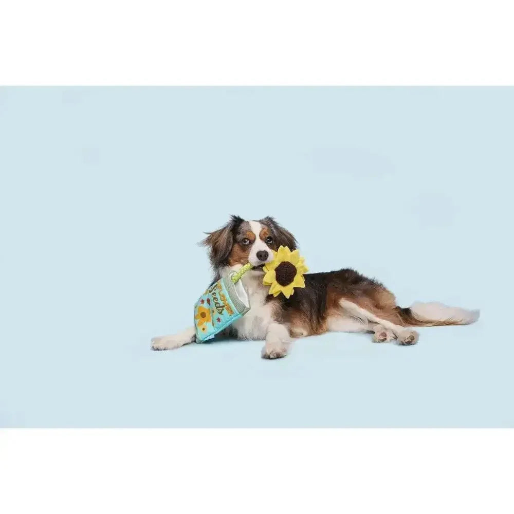 BARK Funflower Seeds Rope Dog Toy - Talis Us
