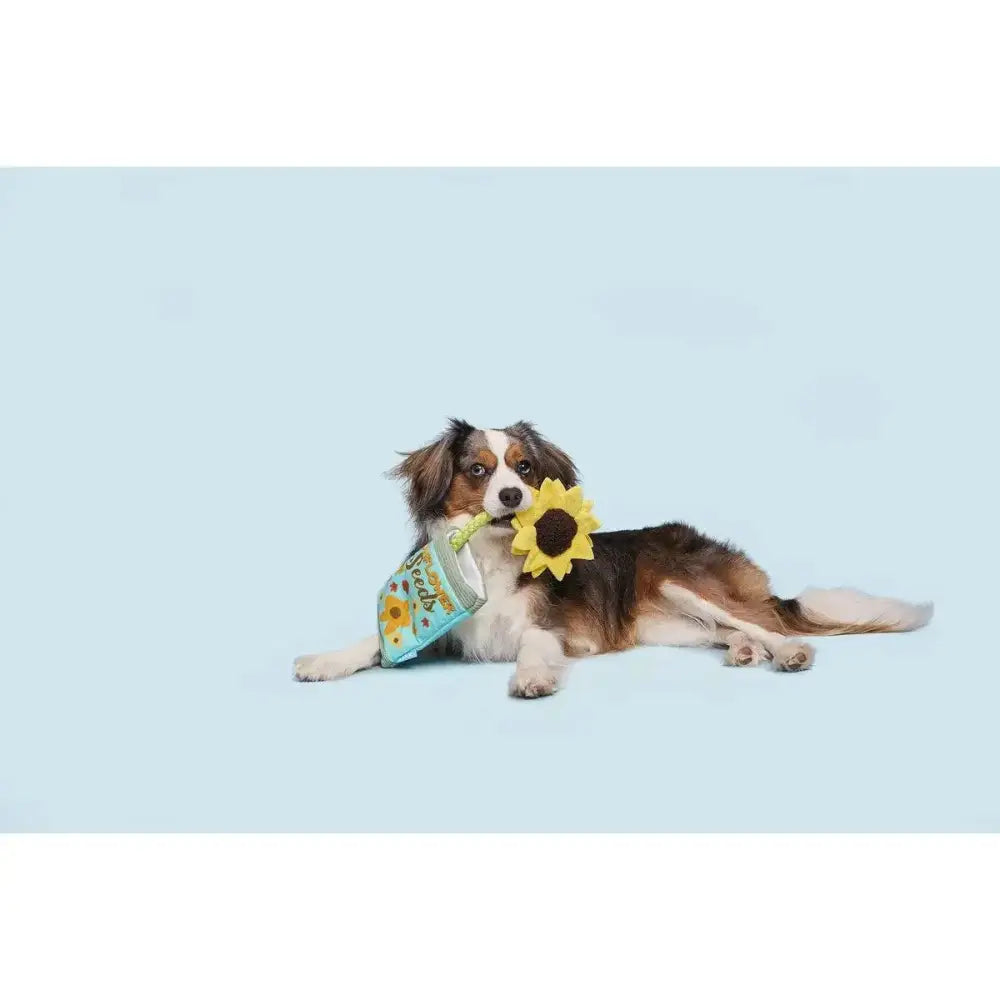 BARK Funflower Seeds Rope Dog Toy - Talis Us