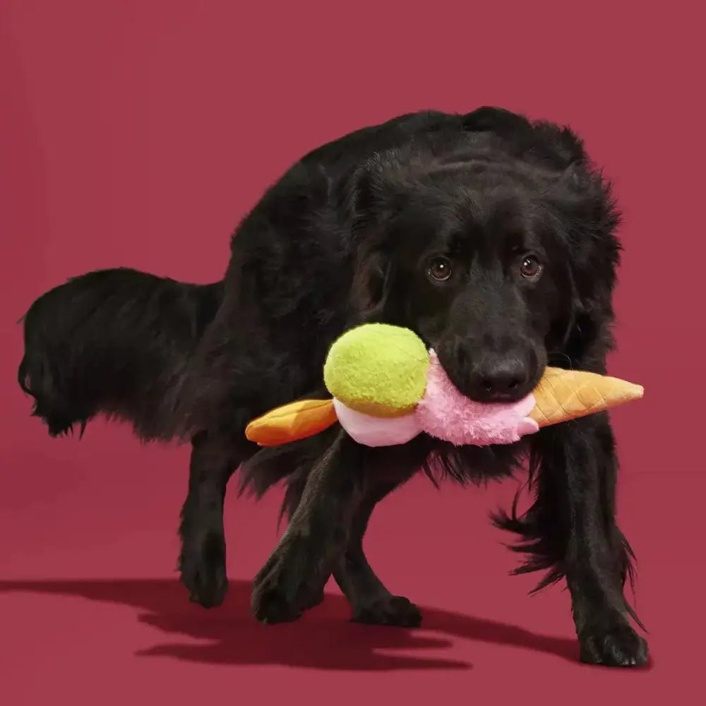 BARK Gelato della D'oggo Plush Dog Toy - Talis Us