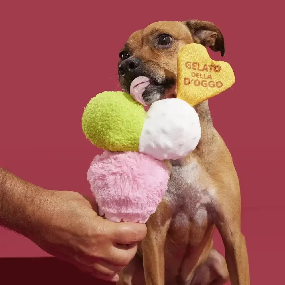 BARK Gelato della D'oggo Plush Dog Toy - Talis Us