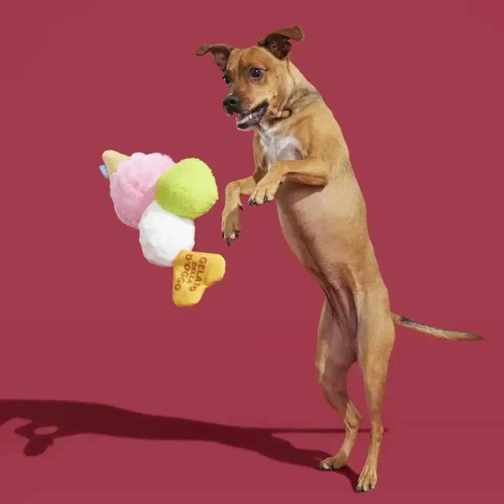 BARK Gelato della D'oggo Plush Dog Toy - Talis Us