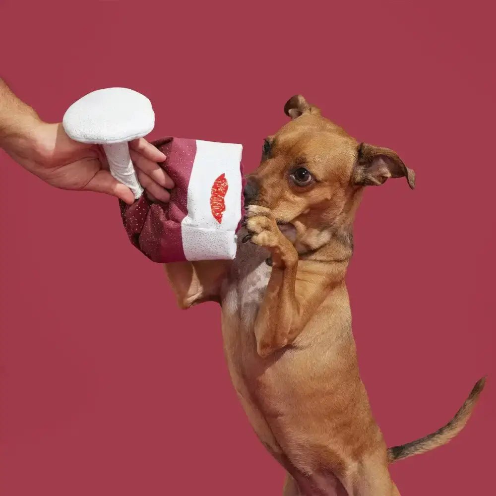 BARK Grrrande Vino Plush Dog Toy - Talis Us