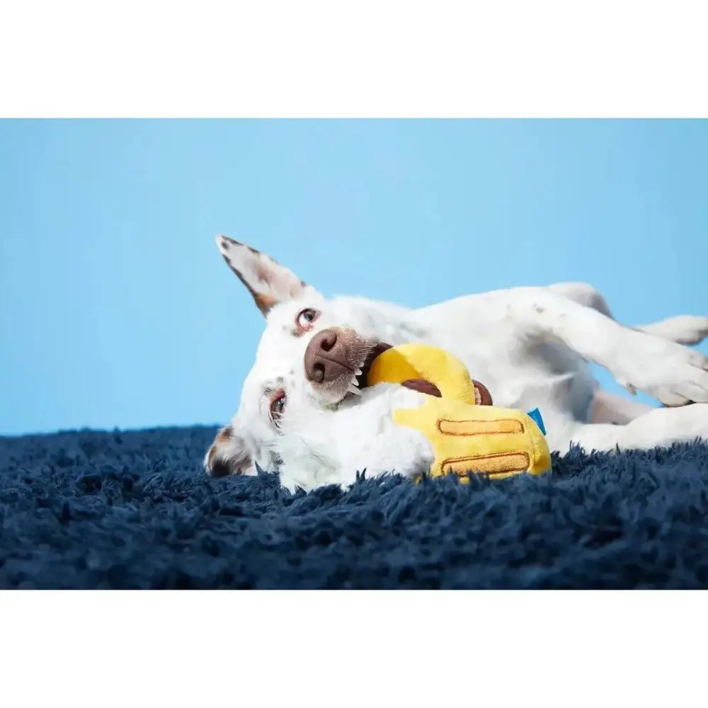 BARK Hair of the Dog Toys - Talis Us