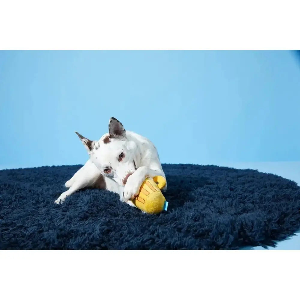 BARK Hair of the Dog Toys - Talis Us