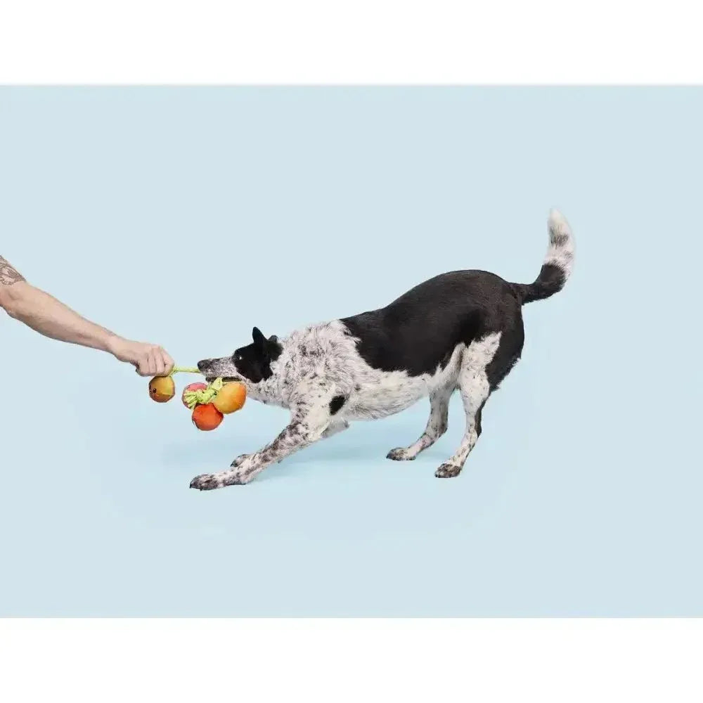 BARK Hairloom Tomatoes Rope Dog Toy - Talis Us
