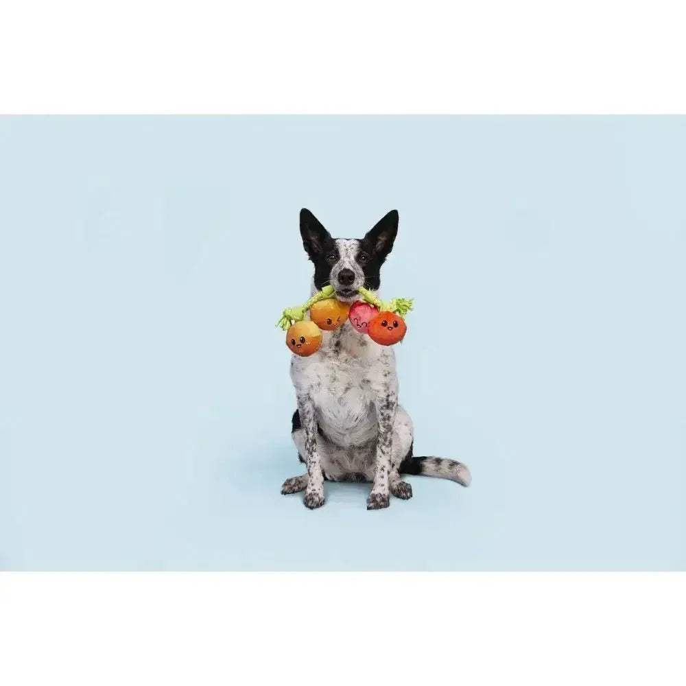 BARK Hairloom Tomatoes Rope Dog Toy - Talis Us