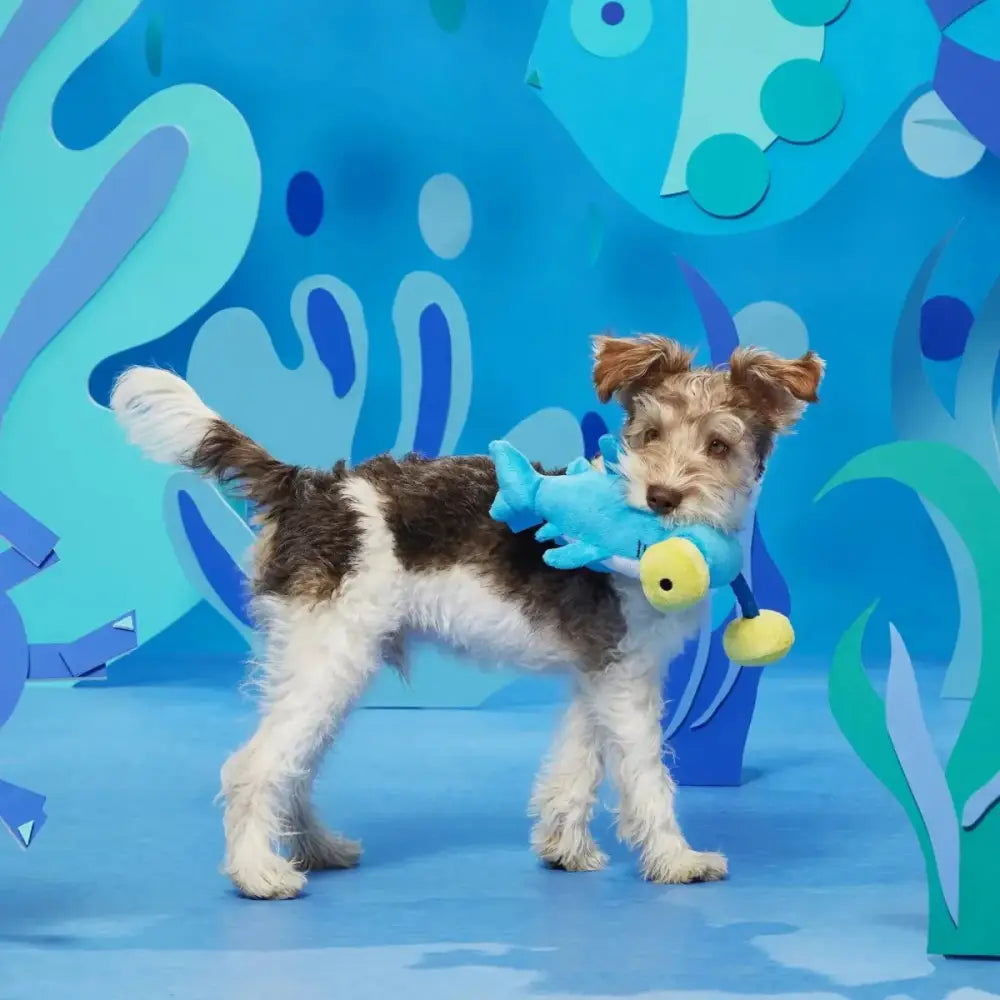 BARK Hammerin' Hank the Shark Dog Toys - Talis Us