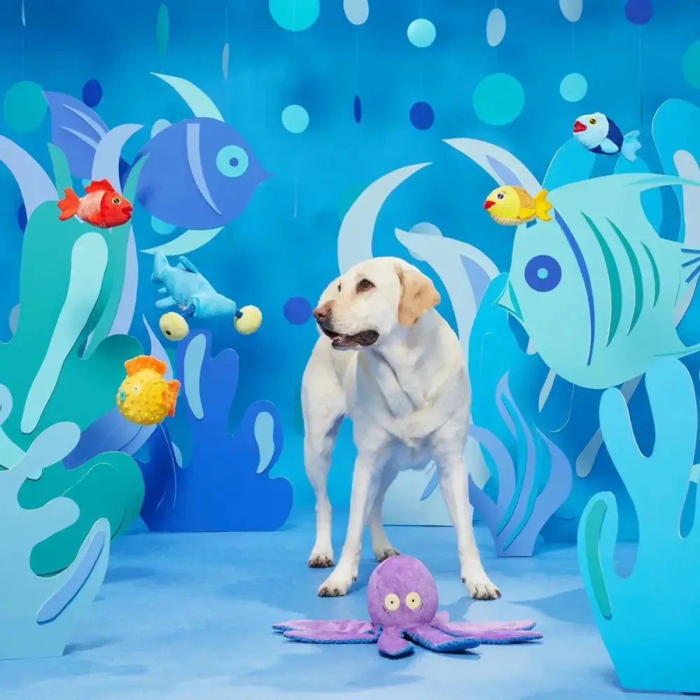 BARK Hammerin' Hank the Shark Dog Toys - Talis Us