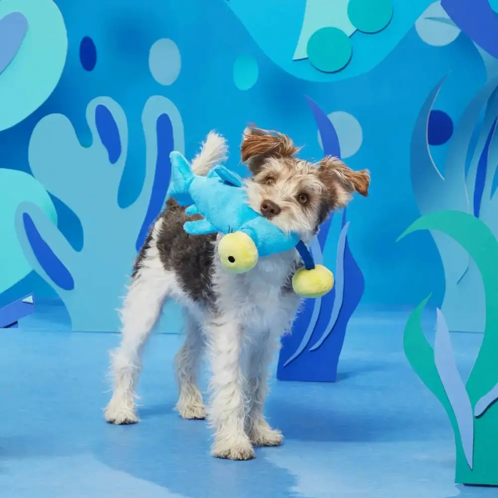 BARK Hammerin' Hank the Shark Dog Toys - Talis Us