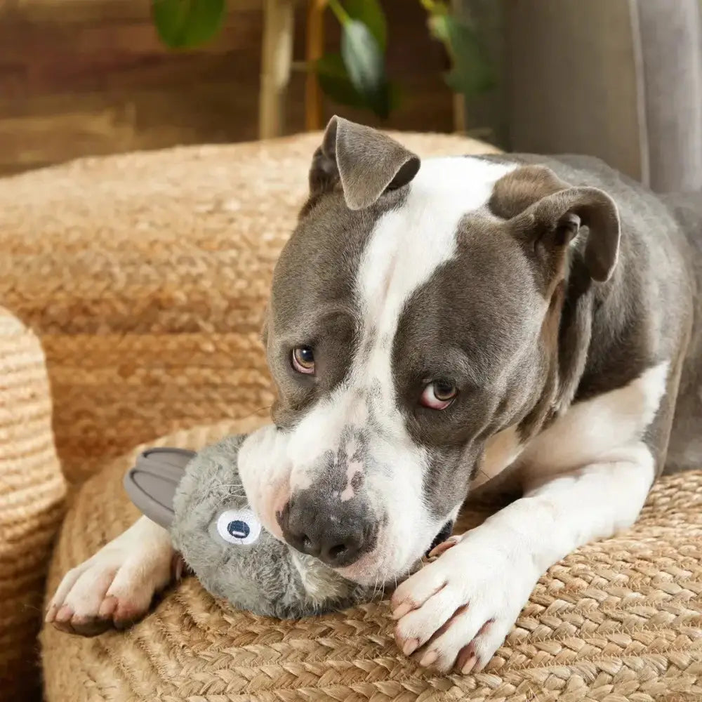 BARK Hare Raiser Rabbit Rubber Super Chewer Dog Toy Grey Medium/Large - Talis Us