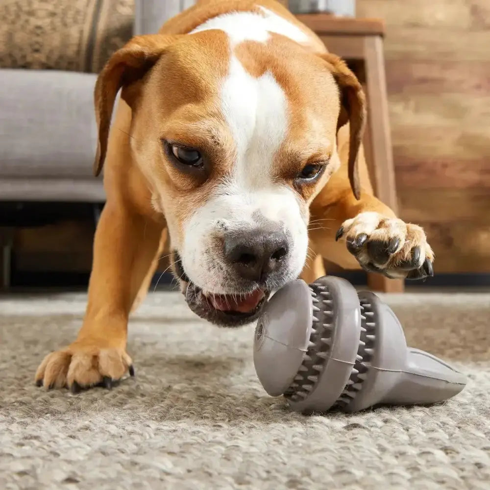 BARK Hare Raiser Rabbit Rubber Super Chewer Dog Toy Grey Medium/Large - Talis Us