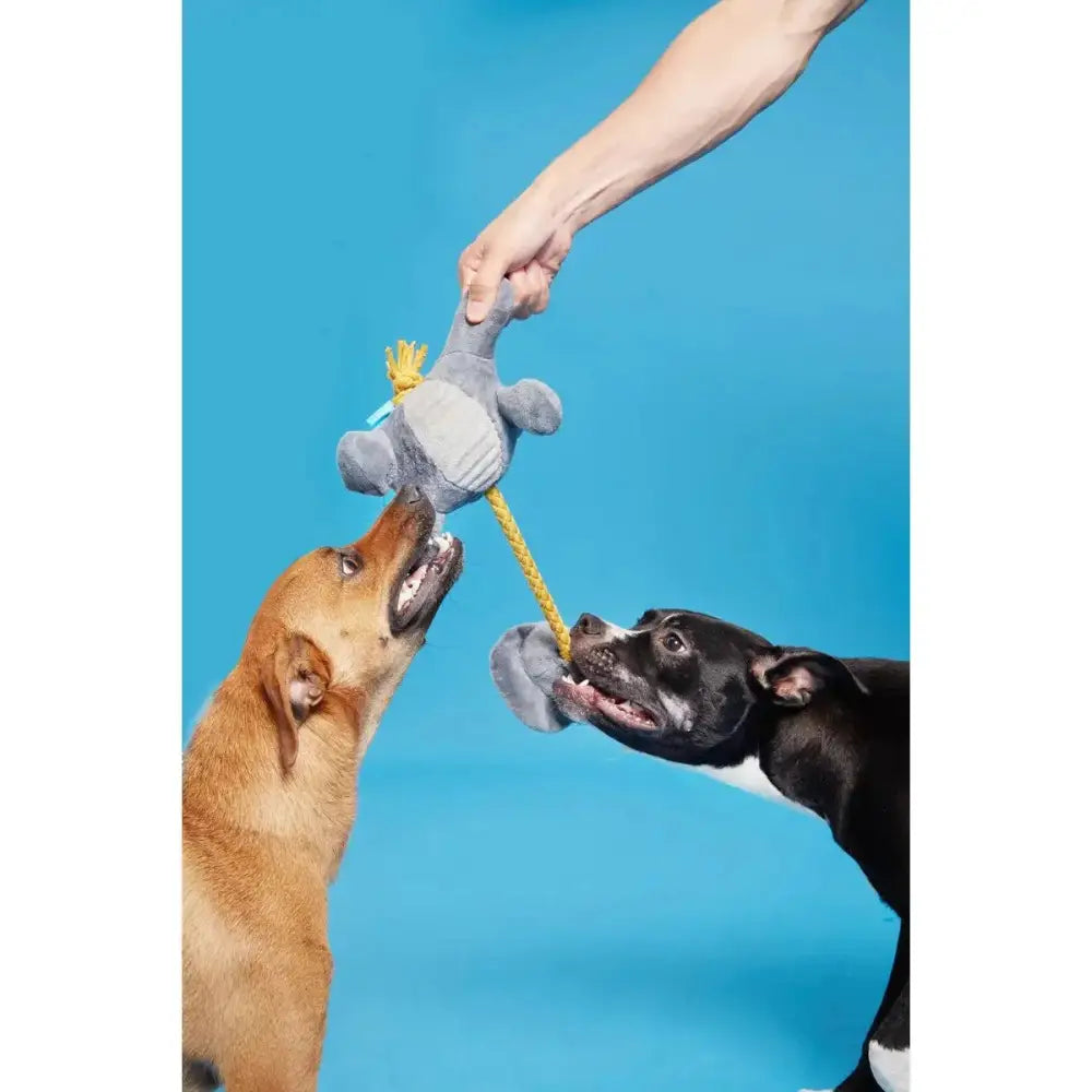 BARK Herbert the Herbivore Dog Toys - Talis Us