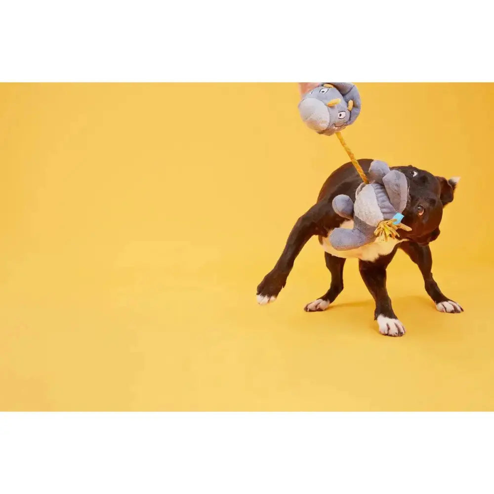 BARK Herbert the Herbivore Dog Toys - Talis Us