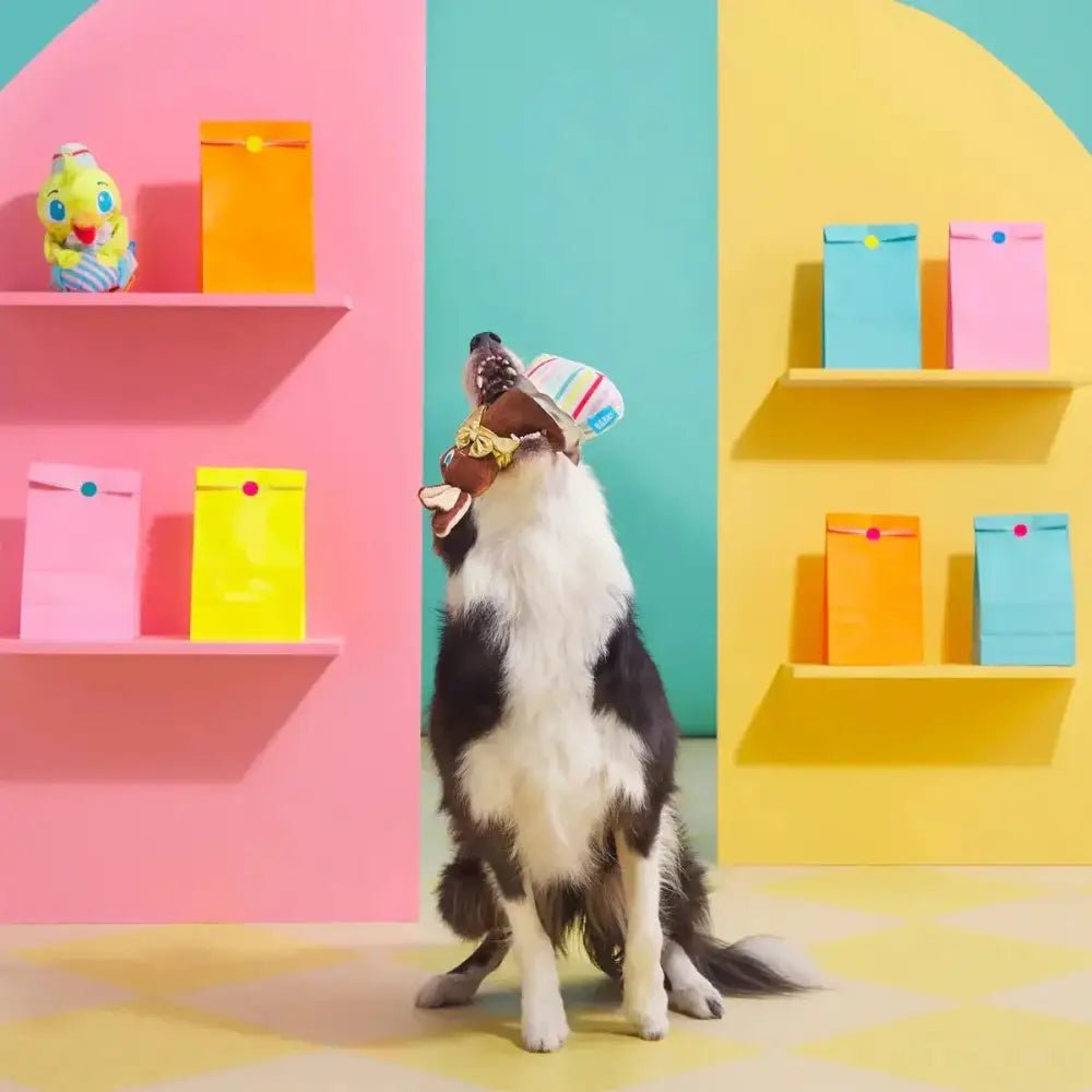 BARK Lil' Bunny Chew Chew Plush Dog Toy - Talis Us