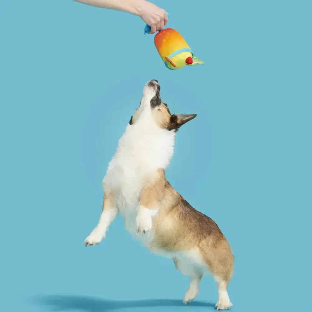 BARK Mai Tail Plush Dog Toy - Talis Us