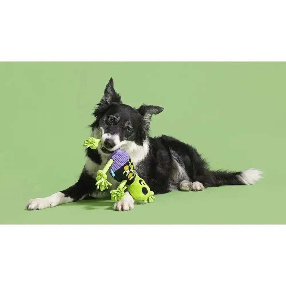 BARK Moldy Barry Bones Plush Dog Toy Small/Medium - Talis Us