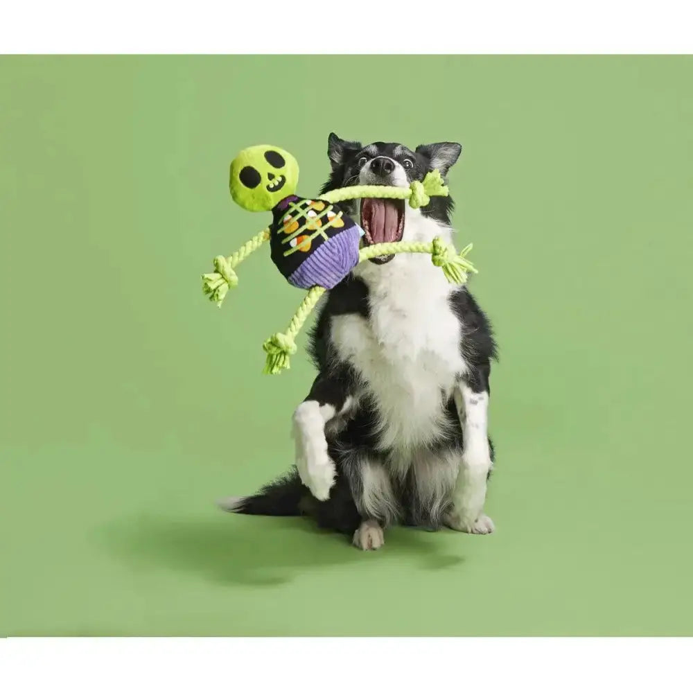 BARK Moldy Barry Bones Plush Dog Toy Small/Medium - Talis Us