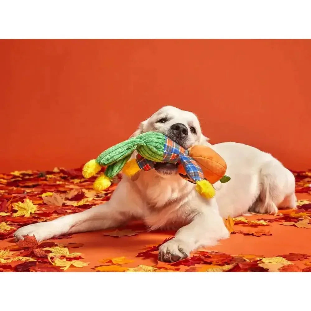 BARK Ol' Pumpkin Patches Plush Dog Toy Small - Talis Us